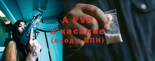 молекула духа Верхний Тагил