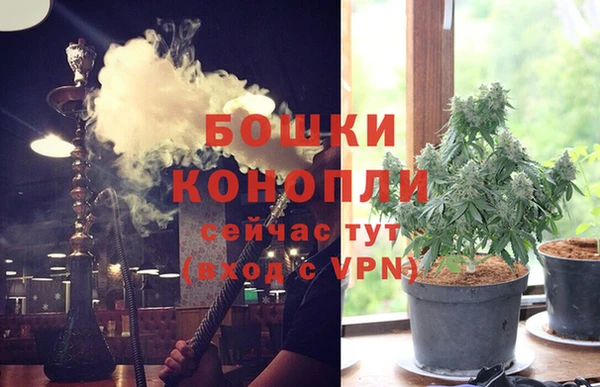 молекула духа Верхний Тагил