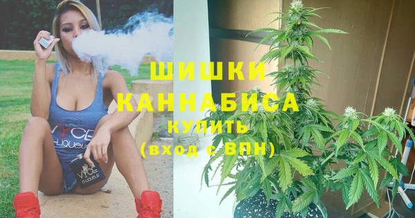 молекула духа Верхний Тагил