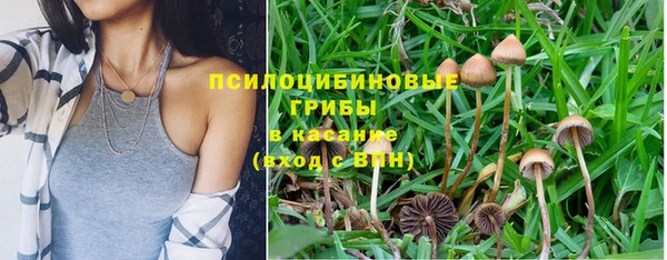 тгк Хадыженск