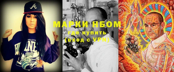 хмурый Фурманов