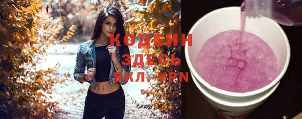 молекула духа Верхний Тагил
