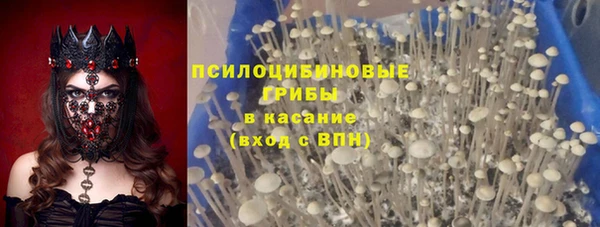 тгк Хадыженск
