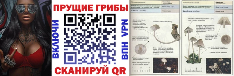 Псилоцибиновые грибы мухоморы  Кирсанов 