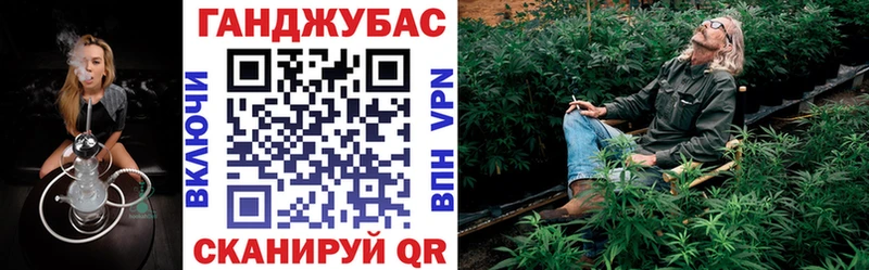 Шишки марихуана сатива Кирсанов